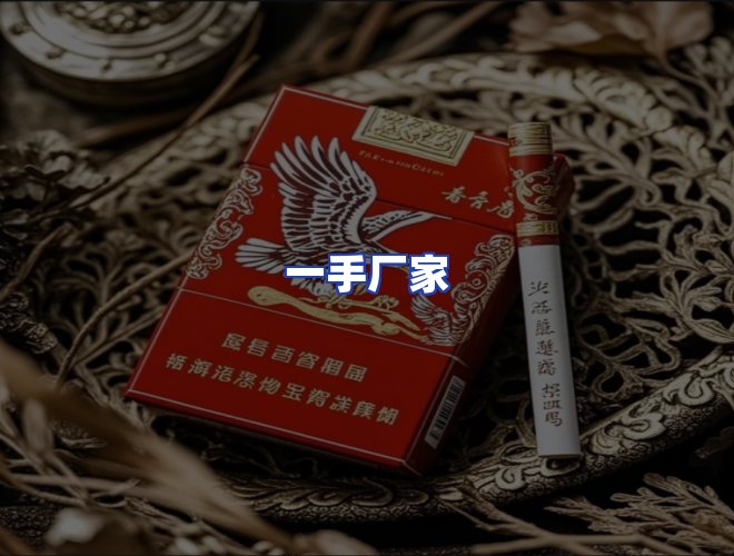 专业团队
